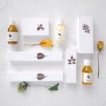 Custom Eco Friendly Japanese Style Tree Leaf Hotel Toiletry Kit with Paper Packaging - 3